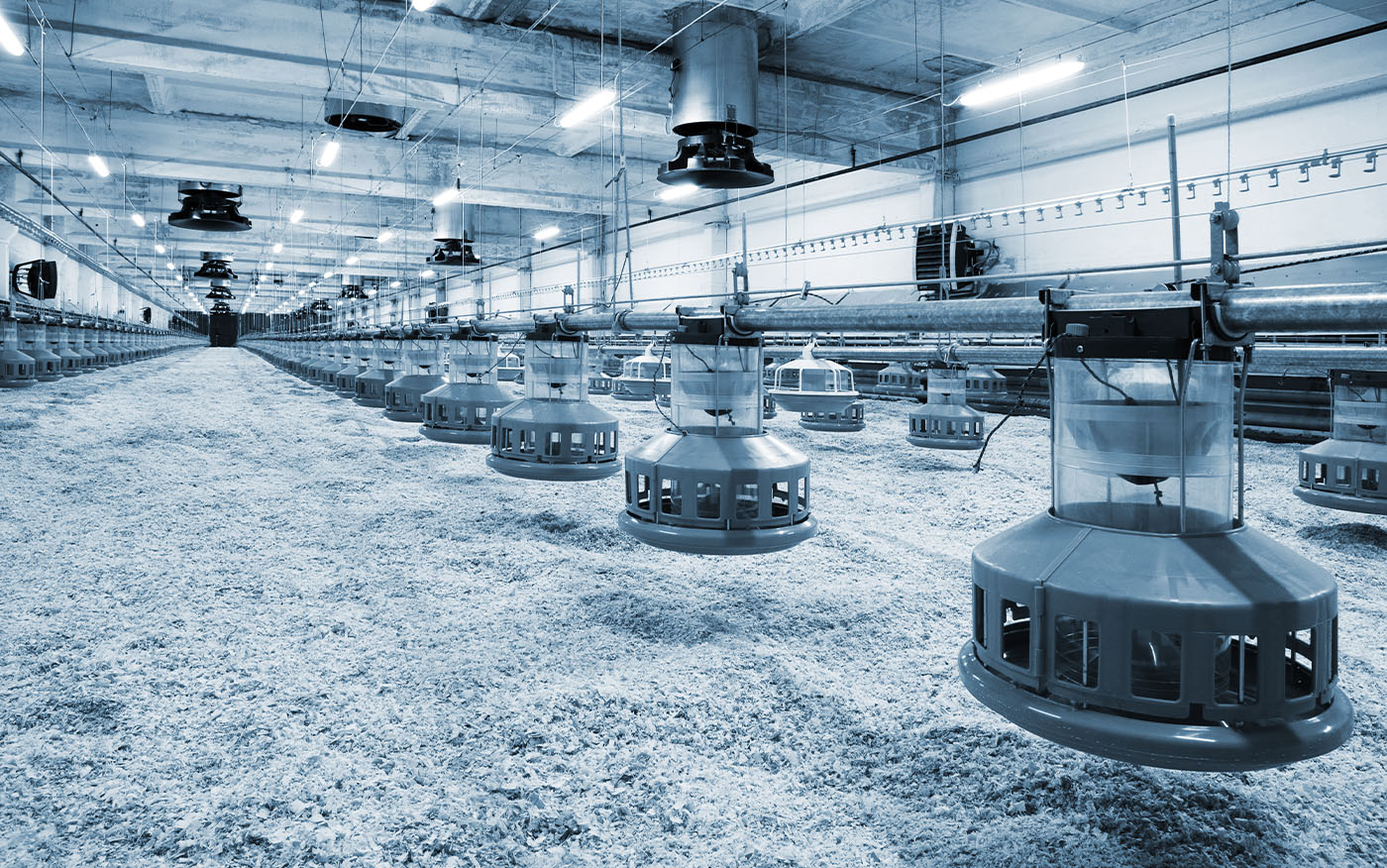 Grade 2 Salt for Versatile Industrial Applications